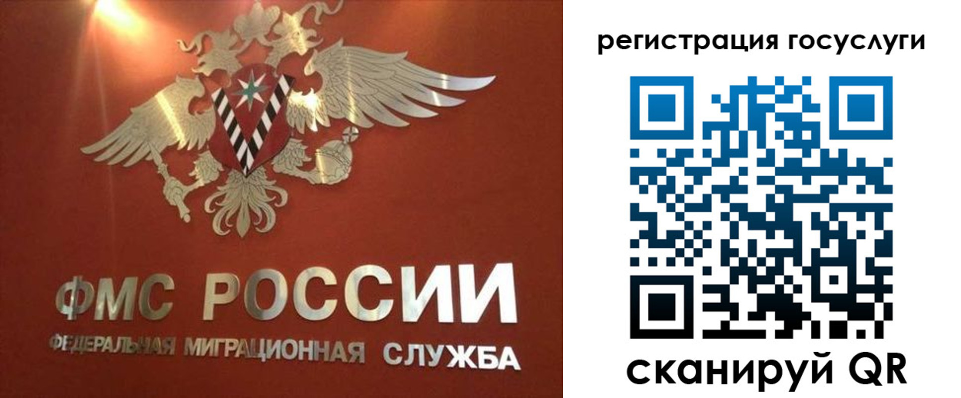 прописка ребенка в Петровске
